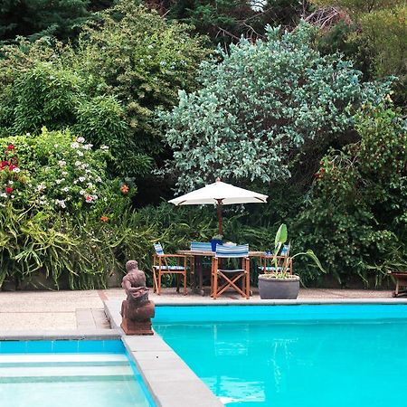 Seahurst Apartment Eskdale Екстериор снимка